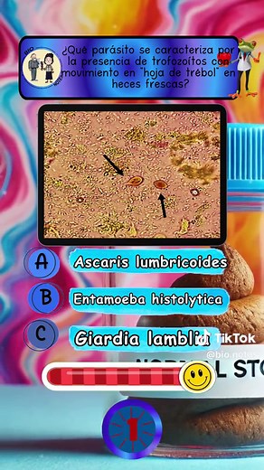 ✅💩Preguntas de Biología #Educacion #preguntas #test #trivia #preguntasyrespuestas #conocimiento #anatomia #desafios #aprendeentiktok #quiz #quizchallenge #estudiantes #biologia #biology #parasitologia #parasitologiaclinica #muestradeheces #clinico #laboratorio #laboratorioclínico #examen #apunte #resumen #viral