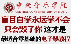 【电子琴系统教程】只有系统学电子琴才能少走99%的弯路！电子琴大佬整理的电子琴教学视频，零基础小白快速入门！