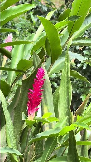 🌿 Eco Hotel Yachay Tayrona | Naturaleza y descanso en Santa Marta 🏨