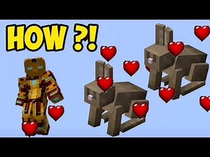 MINECRAFT HOW TO BREED BUNNY & RABBITS (2025)