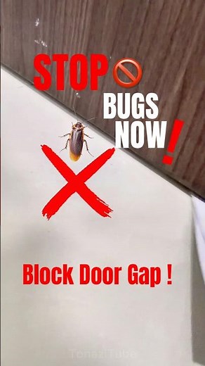 STOP Cockroaches & Dust Instantly! Door Bottom Sealing Strip Test