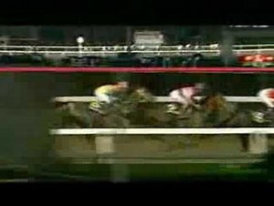 2003年 第26回帝王賞 ネームヴァリュー