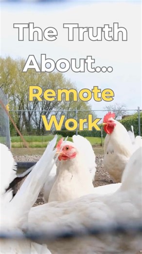 The Truth About Remote Work 💻☕ | Call Center Shorts