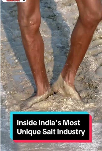 Inside India’s Most Unique Salt Industry #salt #factory #process #production #indiafood
