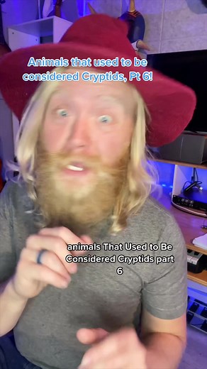 Animals that used to be Cryptids: Part 6! #unexplained #cryptids #cryptozoology #storytime