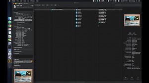 图片管理软件 - Adobe Bridge