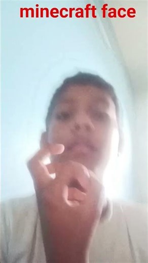 minecraft face