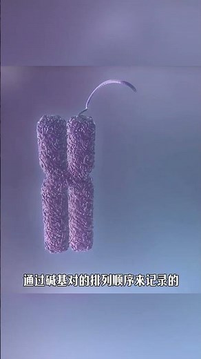 🐭👩🏻‍🦰人和老鼠基因相似度竟高達 85%！The genetic similarity between humans and mice is as high as 85%! #百科密码#科学