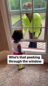 43K views · 714 reactions | Who’s that peeking through the window? | The Baxter Baby | Facebook