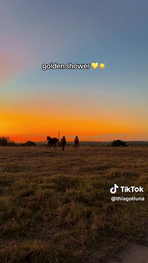 Entenda o que é 'golden shower' e suas curiosidades