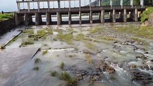 Dams, Spillway, Stream, Water