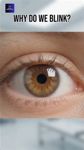 Why Do We Blink? | Blinking Explained | Human Body Science #Shorts
