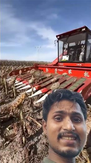#sunflower #sunflowers #harvesting #nature #farming #farmer #viralvideo #shortvideo #status