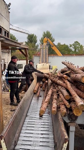 Massive Wood Chipper Devours Timber Logs in Sawmill | Heavy Machinery in Action