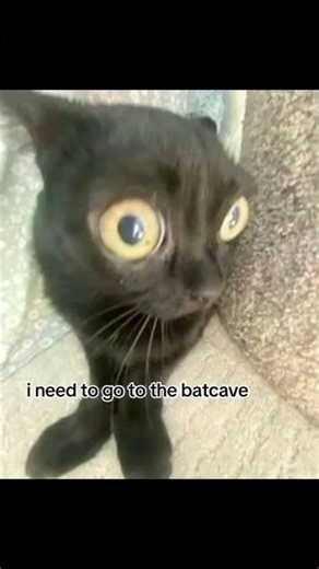 Invalid Input: Cannot Process Request