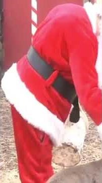 Santa feeding his Reindeer. Live from the North Pole! #shorts