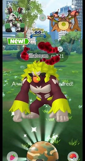World🌍 First ever🥳 *NEW* debut Shiny✨ Rillaboom evolution in Pokemon Go. #pokemongo