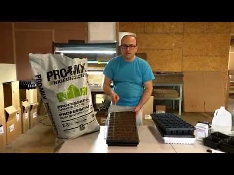 How to Use Plug Trays