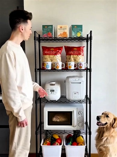 Multi-Purpose Storage Shelf for Home Organization