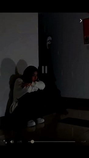 Confrontation in Shadows: A Visual Story