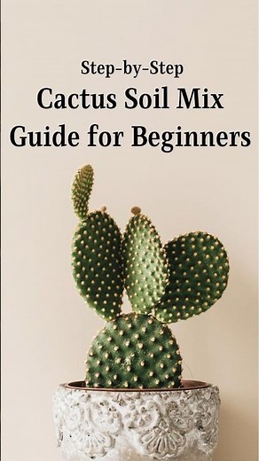 How to make Soil mix for Cactus | Beginners guide to Make Soil Mix for Succulents #plantcare