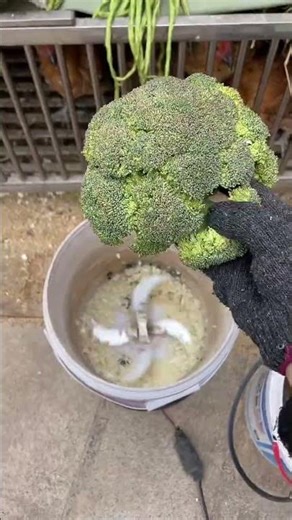 Installing Essential Hardware for Farming#RuralLife #DIYFarming