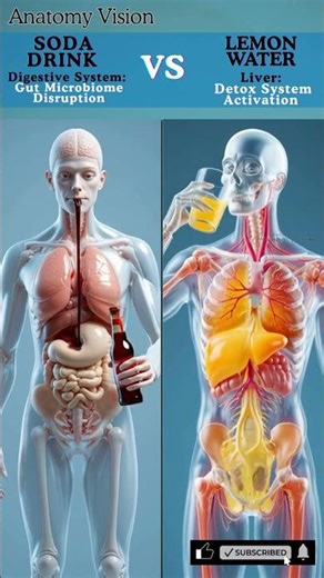 Soda vs Lemon Water – What Happens Inside Your Body? 😱