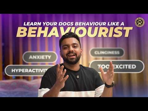 Dog Owners Beware! The Silent Dangers of Ignoring Dog Behavior