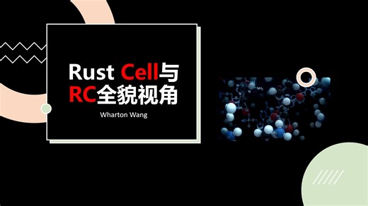 Rust Cell与RC全貌视角