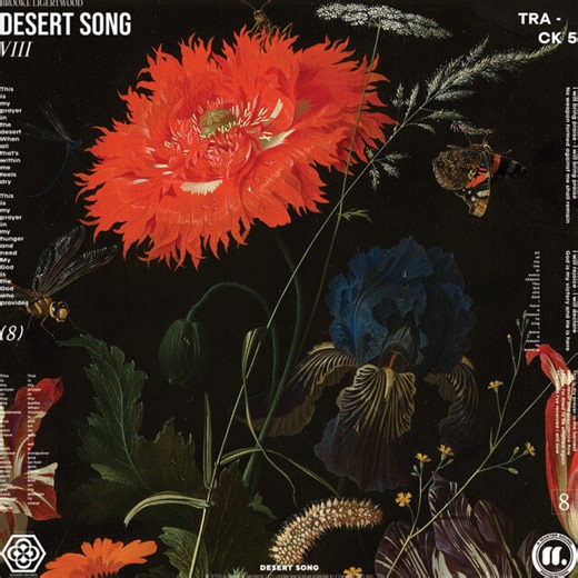Brooke Ligertwood - Desert Song Lyrics