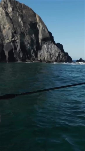 7.1K views · 55 reactions | Catch clean cook? #saltwater #fishing #googansquad | Googan Squad | Facebook