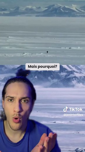 Le Pingouin Nihiliste : Un Voyage Curieux en Nature