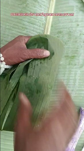 ppppppppppppp ppppppp pppppppppppp ppppppp pppppppppppp ppppppp