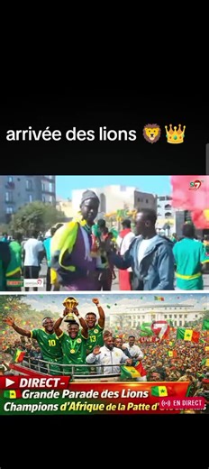 Vidéos de 🇸🇳 fils de mbosse 🐊 (@filsdembosse1) avec son original - 🇸🇳 fils de mbosse 🐊