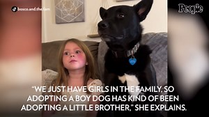 Rescue Dog and 4-Year-Old Girl Adore Watching Disney Princess Movies Together (Exclusive)