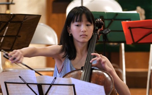 Brahms - Cello Sonata No.1 in E-minor, Op.38, 1st mov.