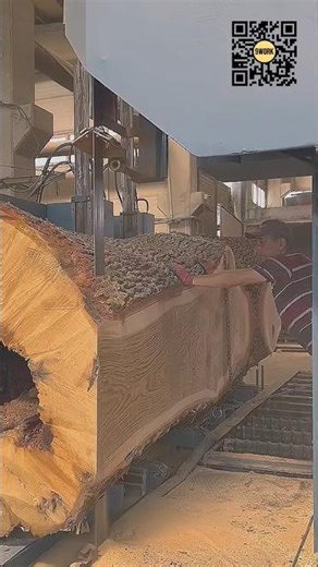 Industrial Band Saw Cutting Massive Wood Slabs #9work #youtubeshorts