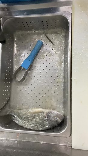 Yellowfin Bream Cleaning and Cooking Tutorial