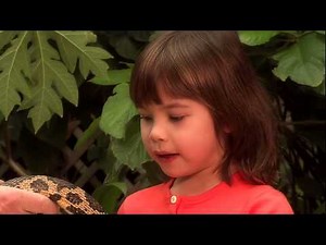 This Is Emily Yeung Learning About Snakes