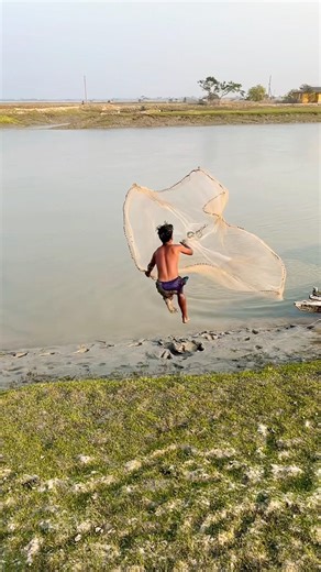 Amazing Village Net Fishing Skill#villagefishing #fishingislife #bigfishcatching #bangladesh