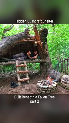 Bushcraft camping | Secret survival dugout under a fallen tree. 🏕 #Surchannel #survival #bushcraft #outdoorlife #campinglife