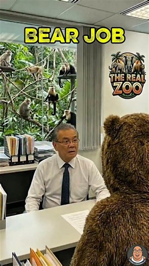 Uncle In Singlet on Instagram: "Bear job #zoo #funnyvideos #humor #fyp #comedyvideo"