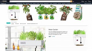6 comments | You don’t need to know a thing about coding to build a beautiful, immersive online store for your brand. We help you design your store, showcase your products, and gain customer insights, so you can sell on Amazon today. Start your store at https://amzn.to/38Hd20g | Sell on Amazon | Facebook