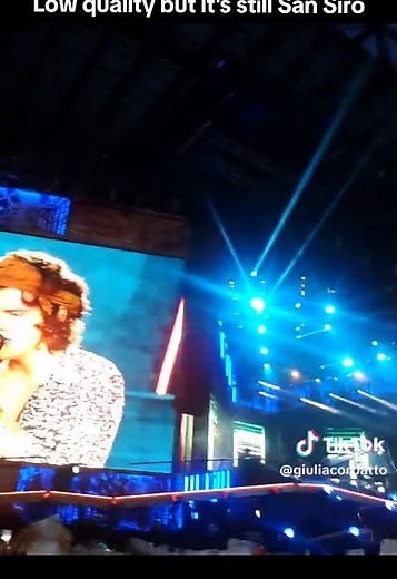 Memorable Moments with One Direction at San Siro