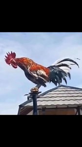 4.1K views · 33 reactions | That cold start tho. | U.S. Army memes | Facebook