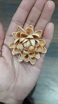 how to make flower from pista shell | diy room decor | pistachio shell flowers step by step beginner