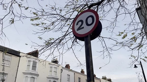 A 20 mph speed limit sign in a residential neighborhood with traditional houses, autumn trees, and a clear sky in the background.