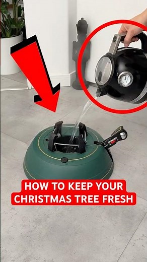 How to keep your Christmas Tree fresh! 🎄