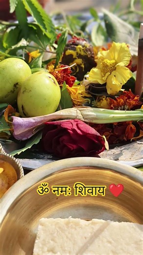 महाशिवरात्रि ❤️