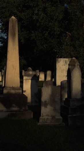 Washington DC | Spooky season = the perfect time to take a ghost tour in DC. 👻🕸️ We double dog dare you to try one of these haunted tours. ⬇️ 🕯️ Ghosts... | Instagram